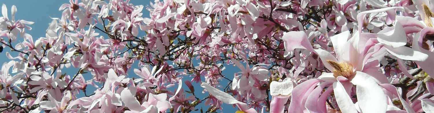 Praxis für Psychiatrie und Psychotherapie